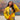 Artist Hoodie YLW
